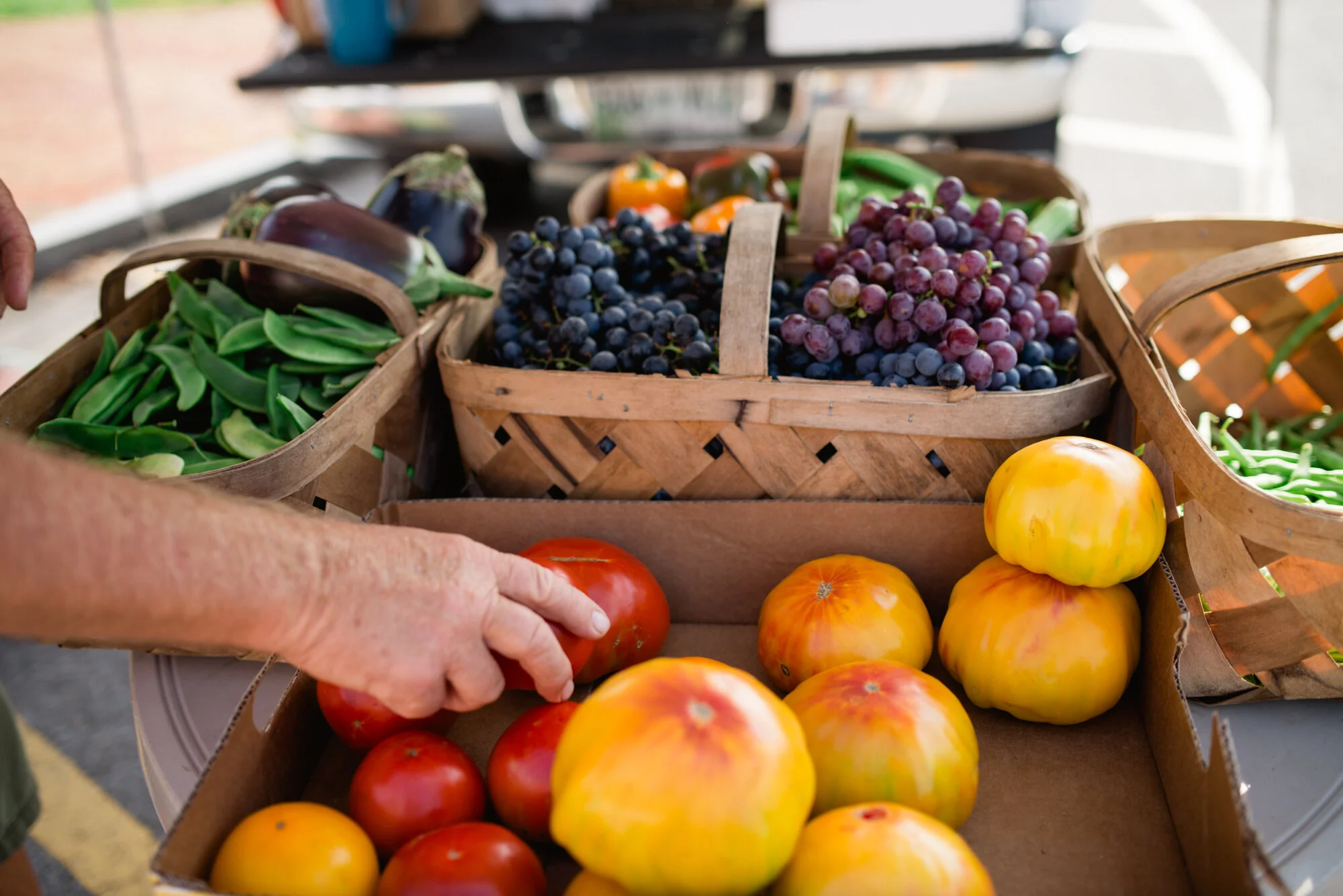 Become a Vendor — Jonesborough Locally Grown